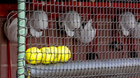 SIUE Softball v SWIC 21 Sept 2025 - Game One