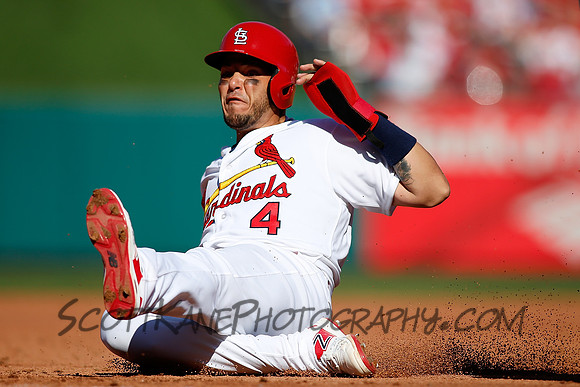 MLB: APR 11 Brewers at Cardinals