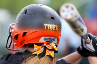EHS Tigers Softball 2016